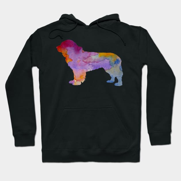 Newfoundland Dog Hoodie by BittenByErmines